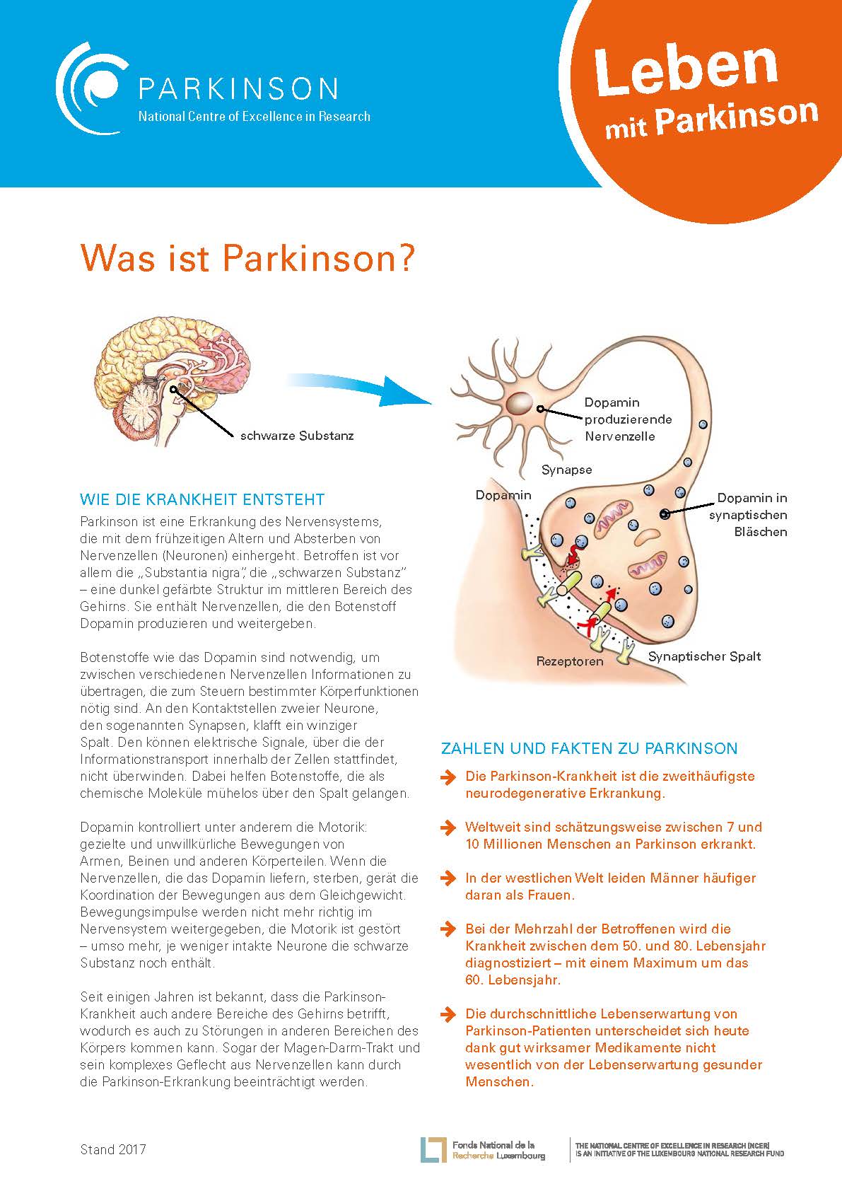 Factsheet - Was ist Parkinsons