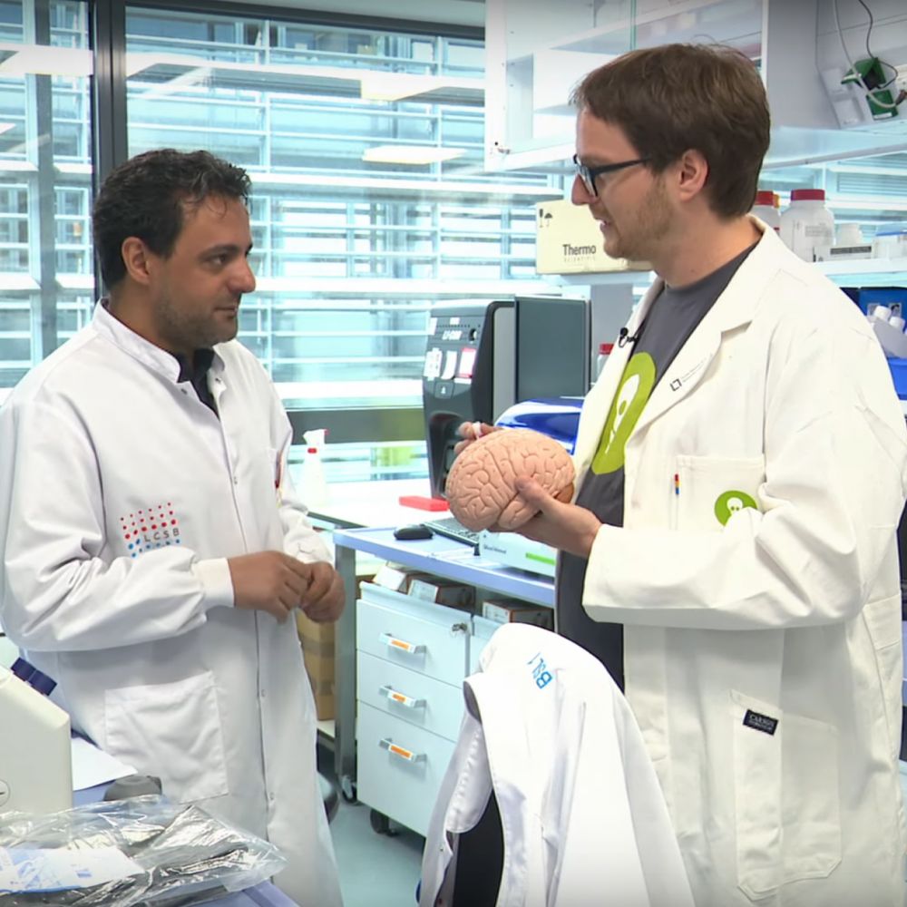 How do researchers use skin samples to study nerve cells?
